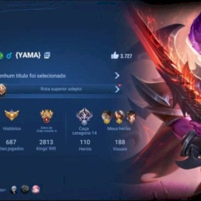 Conta level 170, 686 dias jogados,110 heróis,188 visuais,696.143 esteritas