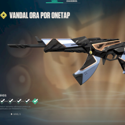 CONTA VALORANT COM 4 VANDAL + SKINS + 537 REAIS GASTOS ( OFERTA)