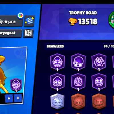 CONTA FULL SKINS RARAS