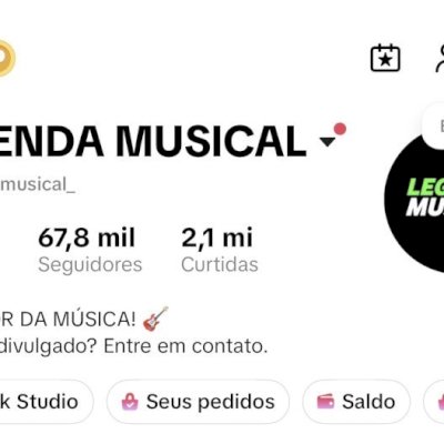 CONTA TIK TOK COM 67,8 MIL SEGUIDORES