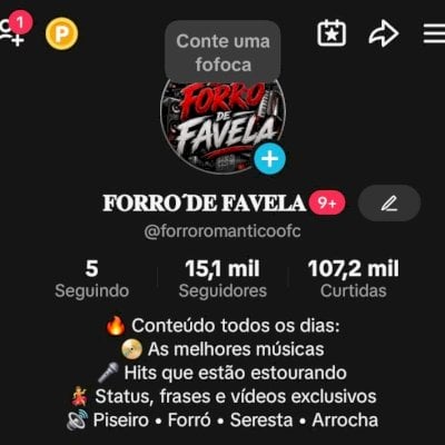 CONTA TIKTOK +15K SEGUIDORES ENGAJADA!