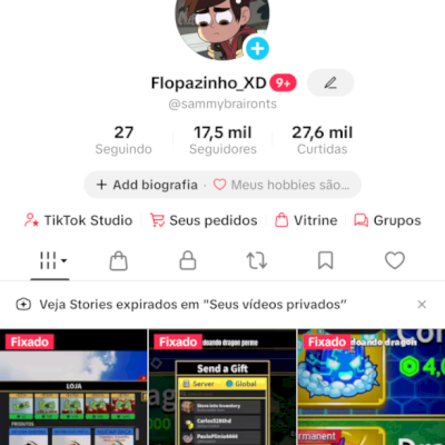 Conta TikTok Monetizada com 17 Mil Seguidores - Pronta pra ganhar dinheiro