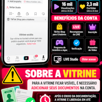 TikTok Shop BR | 2k seguidores |  Pronta para Crescer