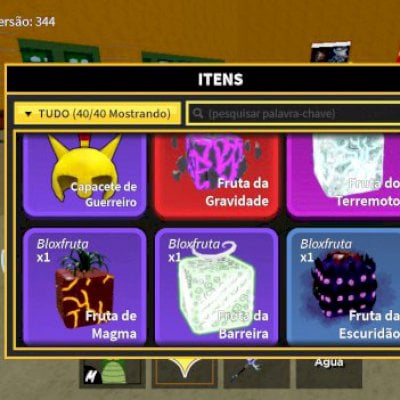 Bloxfruit