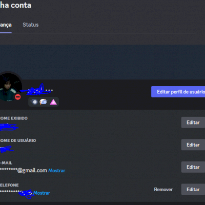 CONTA DISCORD APOIADOR INICIAL (PIG)