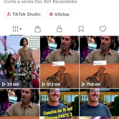 Tiktokshopbr sem doc 13k de seguidores reais e orgânico (Leia a descrição)