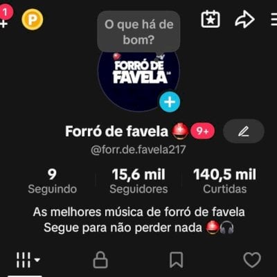 CONTA TIKTOK +15K SEGUIDORES ENGAJADA!