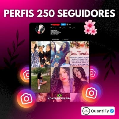 🌸 PERFIS 250 SEGUIDORES REAIS | Excelente Qualidade✅