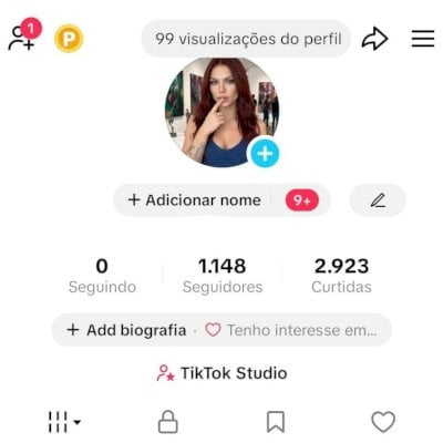CONTA TIK TOK 1,1K SEG E 2,9K DE CURTIDAS (CONTAS TIK TOK)