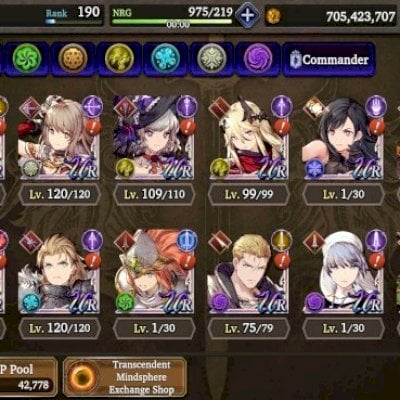 Final Fantasy - War of the visions [Royal rank 12]