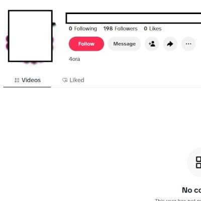 Tiktok Conta foreigner SEGUIDORES + Acesso email Conta segura 2024 + 150 fol
