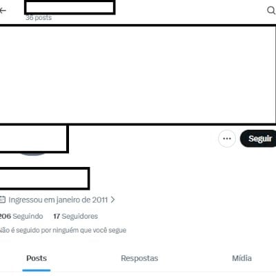 Twitter 2011 + Conta feminina/masc + Perfil e acesso ao email + Acesso total