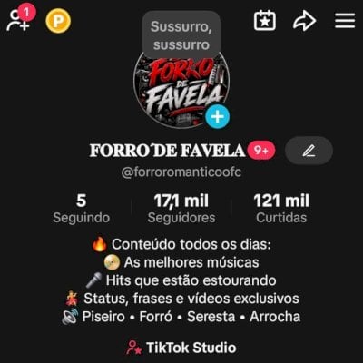 CONTA TIKTOK +17K SEGUIDORES ENGAJADA!