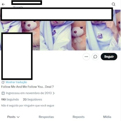 CONTA 2013 X Twitter + Acesso ao email + Conta segura + Perfil + Email