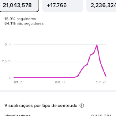 Conta 17k de seguidores super engajada