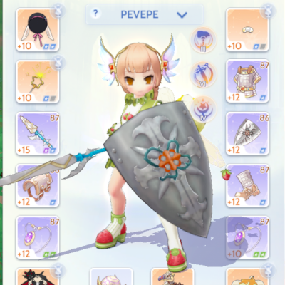 Paladin 300k+
