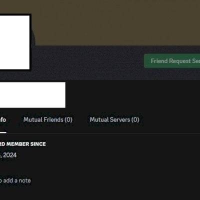 Conta Discord Feminina Jan-Jun 2024 + Acesso total