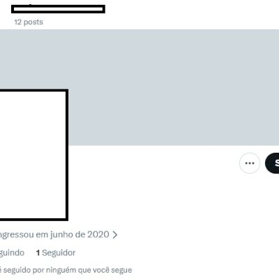 Twitter 2020 + Conta fem/masc + Foto de perfil e acesso ao email + Acesso total