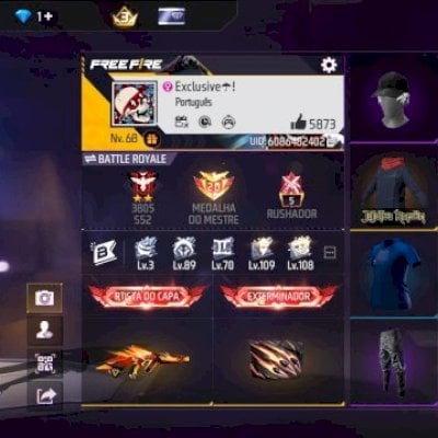 CONTA FF TOP COM QUASE 300 PEITAS/CALÇA JAZZ/CAMISAS DE TIME/MUITAS COMBINAÇÕES