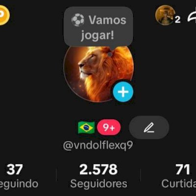 CONTA TIKTOK 2K SEGUIDORES BR 🇧🇷 PROMOVER+SITE+LIVES+TROCAR NOME ✅ SEM SHOP ❌