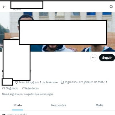 Twitter 2017 + Conta feminina + perfil confiav e acesso ao email