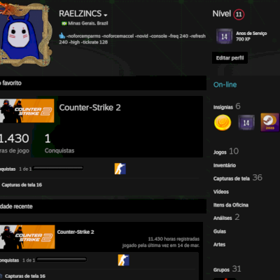 CONTA STEAM 14 ANOS 14 MIL HORAS CS2
