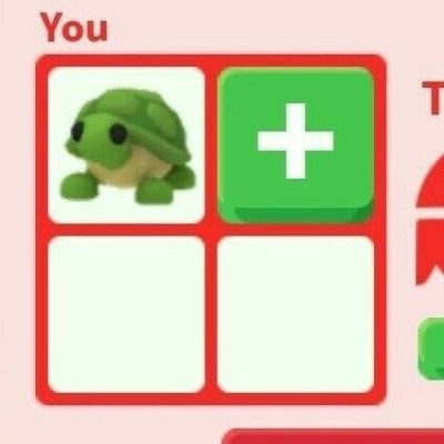 TARTARUGA R