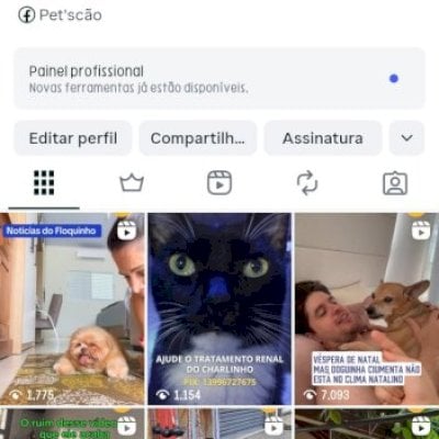 Instagram de Pets mais rentável do Brasil