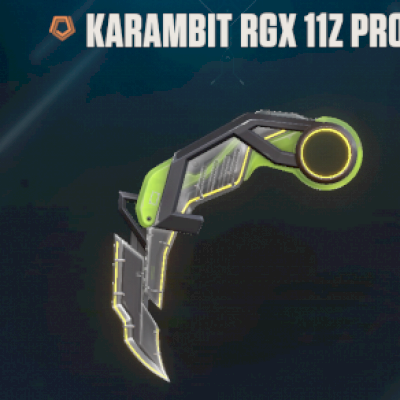 conta valorant platina, com 4 passes, karambit rgx, entre outras skins