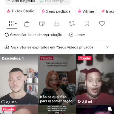Conta no aplicativo tiktok com 305mil seguidores, 18milhoes de curtidas