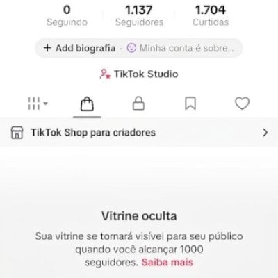CONTA TIK TOK 1,1K SEG (SHOP ATIVO) VITRINE DAQUI A 30 DIAS (CONTAS TIK TOK)