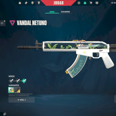 Conta valorant ouro 2 com 2 skins
