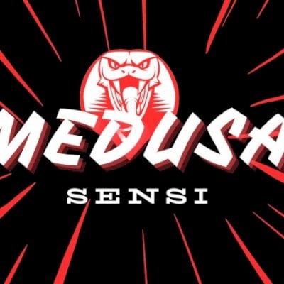 Pack de Sensi Detalhadas ATUALIZADA para emulador 2024