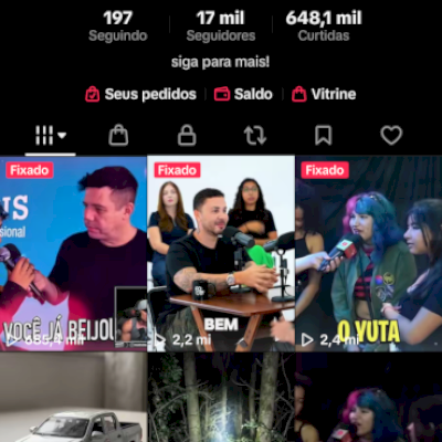 conta tiktok com 17k de seguidores