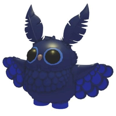 Coruja vestígia🦉