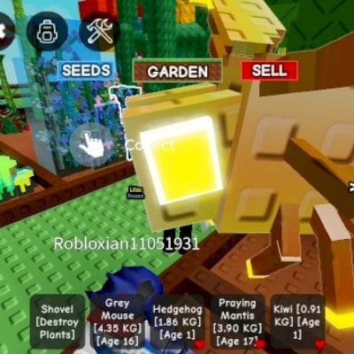 Grow a garden