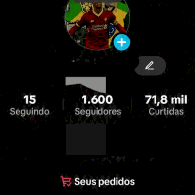 Vendo conta com 1600 seguidores