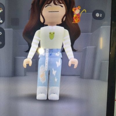 Conta feminina com skins de robux