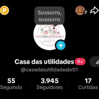 CONTA TIKTOK 3K SEGUIDORES BR 🇧🇷 PROMOVER+SITE+TROCAR NOME ✅ SEM LIVES/SHOP ❌
