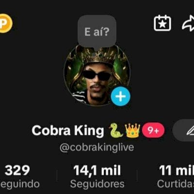 CONTA TIKTOK 14K SEGUIDORES 🌟 PROMOVER+SITE+MONETIZADA+TROCAR NOME ✅ SEM LIVE ❌