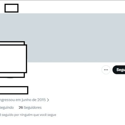 Twitter 2015 + seguidores + Conta feminina + Perfil e acesso ao email