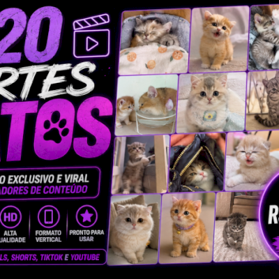 +420 Cortes de Gatos Virais-Vídeos p/ TikTok, Reels e Shorts-ENTREGA AUTOMÁTICA