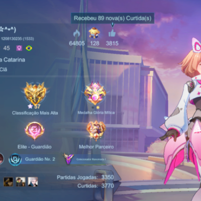 CONTA MAIN SUP FADINHA
