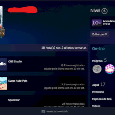 Steam LVL 6 | 11 jogos + prime cs2