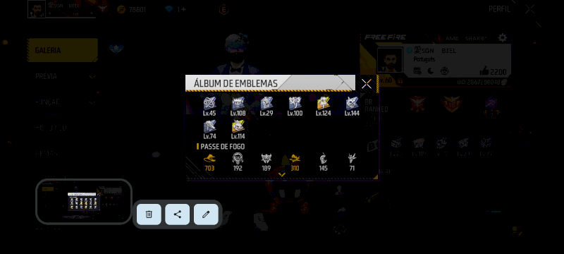 Foto do produto