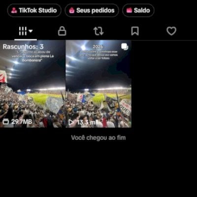 vendo conta tik tok +de 83K de seguidores +de 1,7 milhões de curtidas monetizada