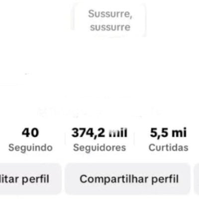 Conta braba do tik tok com 374k de seguidores