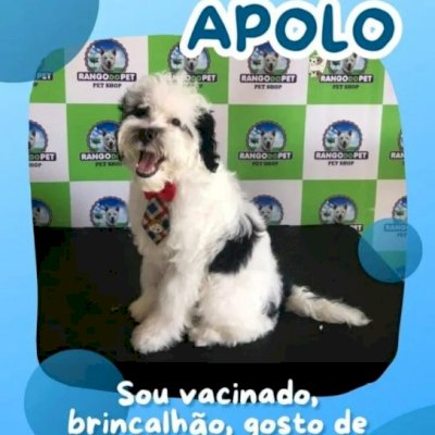 Vendendo minha conta principal antiga com 3 anos de uso cuida