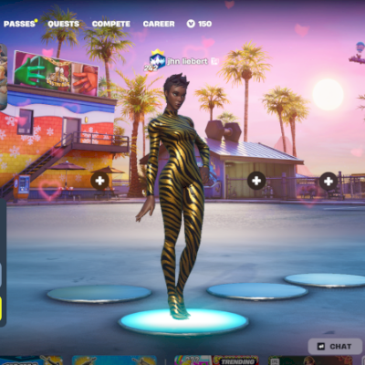 Conta FA Tryhard de Fortnite + Salve o Mundo Fundador