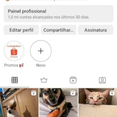 Clubeanimalofc